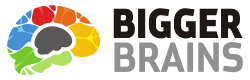 Bigger Brains Logo